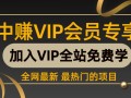 （204期）零成本淘宝客项目——实实在在月赚1000元-3000元（可长期操作的项目）