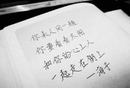 选择大于努力，可能是职场上最大的谎言！-第2张图片-智慧创业网