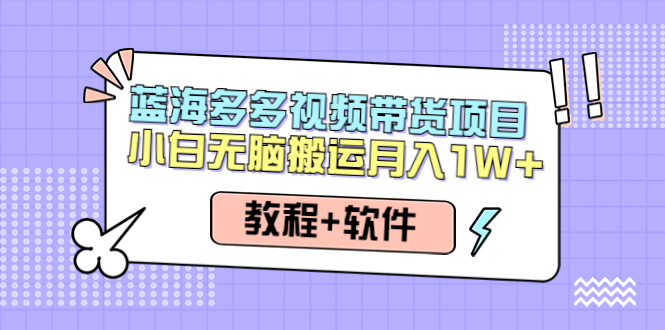 [热门给力项目]（4343期）人人都能操作的蓝海多多视频带货项目 小白无脑搬运月入10000+（教程+软件）-第1张图片-智慧创业网