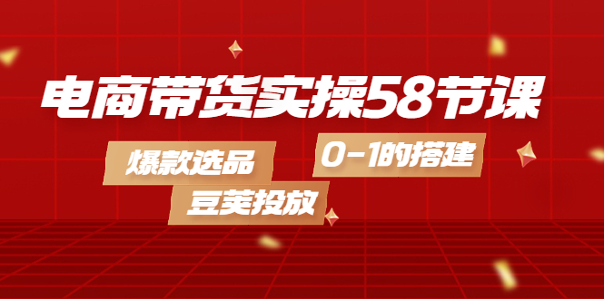 [直播带货]（4024期）电商带货实操58节课，爆款选品，豆荚投放，0-1的搭建-第1张图片-智慧创业网