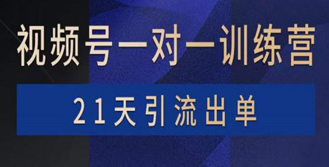 [短视频运营]（3678期）视频号训练营：带货，涨粉，直播，游戏，四大变现新方向，21天引流出单