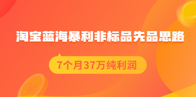 [国内电商]（2054期）淘宝蓝海暴利非标品先品思路，7个月37万纯利润，压箱干货分享！-第1张图片-智慧创业网