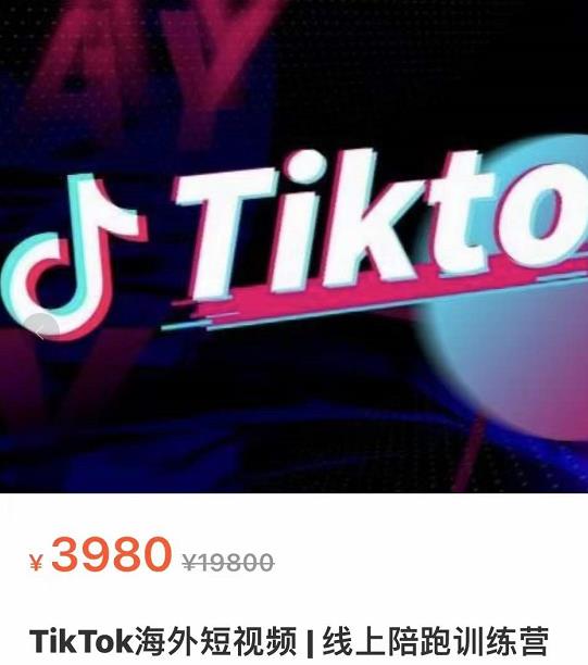 [跨境电商]（3509期）TikTok海外抖音短视频线上陪跑训练营，玩赚Tiktok少走弯路-第2张图片-智慧创业网