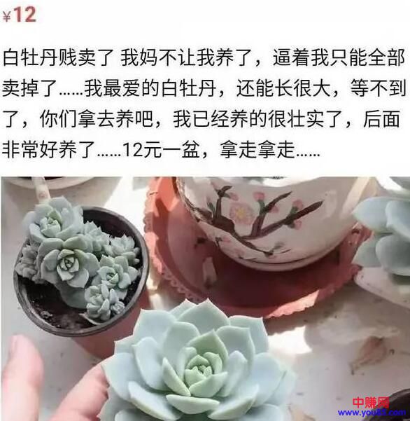 闲鱼卖货技巧，学会之后日销几十单，月入过万元-第4张图片-智慧创业网