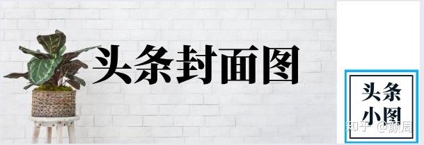 [引流涨粉]每天运营花费时间不超1小时 公众号一个月涨粉突破500+-第8张图片-智慧创业网