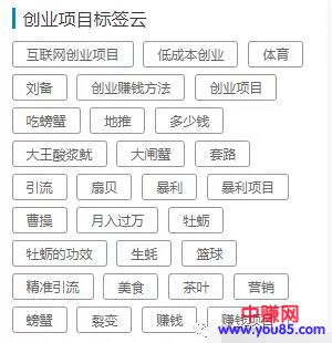 [引流涨粉]适合大型网站优化排名的方案，利用聚合页参与排名-第5张图片-智慧创业网