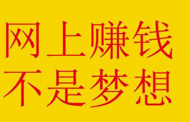 [引流涨粉]新手如何在网上赚钱，首先要懂得如何获取流量！-第1张图片-智慧创业网