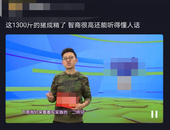 [短视频运营]揭秘不为人知的抖音暴利灰产 单人操作每月收入10万元+-第9张图片-智慧创业网