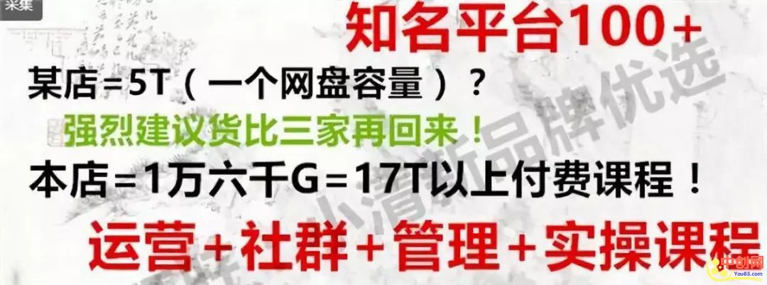 [网赚项目]一个低投入、高收入的虚拟资源创业项目，新手也能日赚几百-第13张图片-智慧创业网