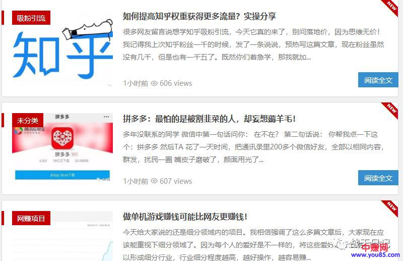 [网赚项目]做什么类型的网站最赚钱？我做过的网站及盈利模式分享-第6张图片-智慧创业网