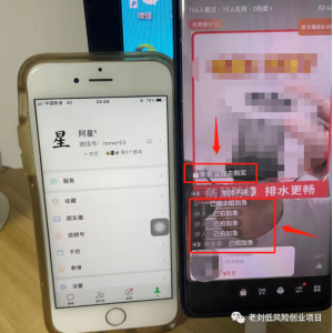 [短视频运营]（6941期）视频号粗暴玩法，一天利润大几千！-第2张图片-智慧创业网