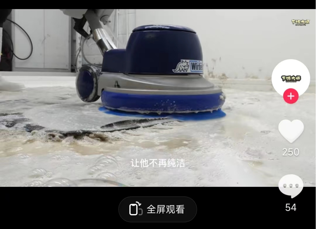 [热门给力项目]（6938期）超冷门抖音短视频赛道-清洗地毯解压视频-简单无脑怼作品（教程+素材）-第2张图片-智慧创业网