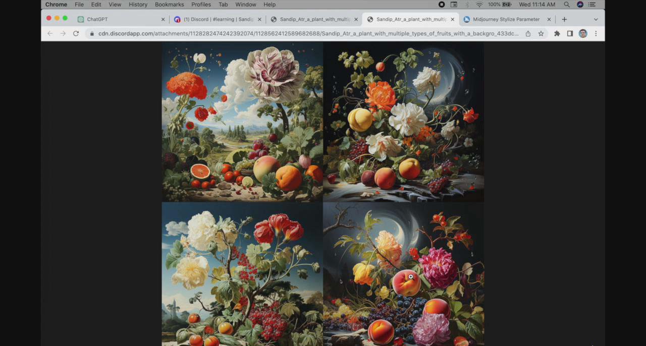 [人工智能]（8806期）ChatGPT4 和 MidJourney AI 绘画聊天革命性指南教程-33节视频课-中英字幕-第3张图片-智慧创业网