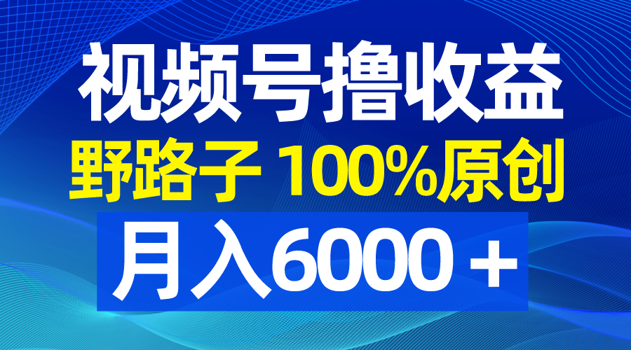 [短视频运营]（8679期）视频号野路子撸收益，100%原创，条条爆款，月入6000＋-第1张图片-搜爱网资源分享社区