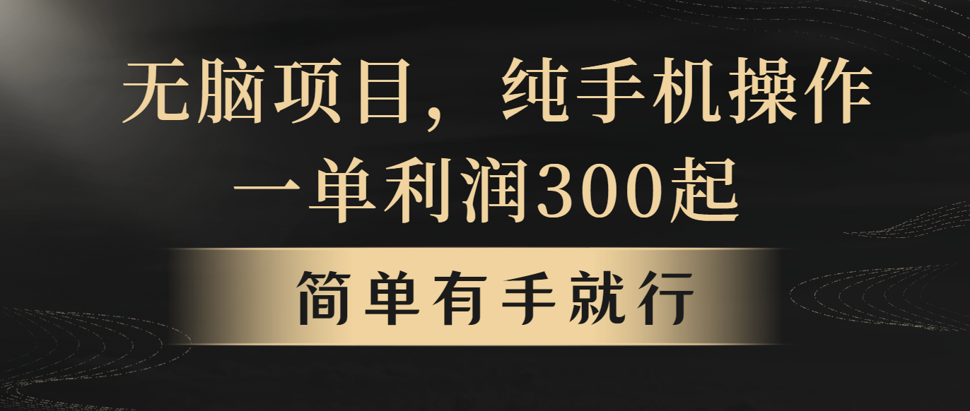 [创业项目]（10699期）无脑项目，一单几百块，轻松月入5w+，看完就能直接操作-第1张图片-智慧创业网