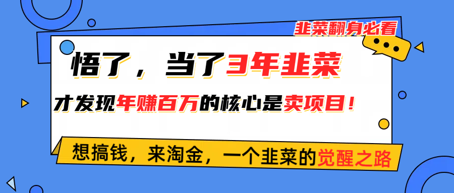 [创业项目]（10759期）悟了，当了3年韭菜，才发现网赚圈年赚100万的核心是卖项目，含泪分享！-第1张图片-智慧创业网