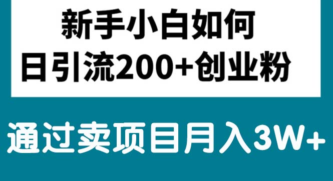 [创业项目]（10843期）新手小白日引流200+创业粉,通过卖项目月入3W+-第1张图片-智慧创业网