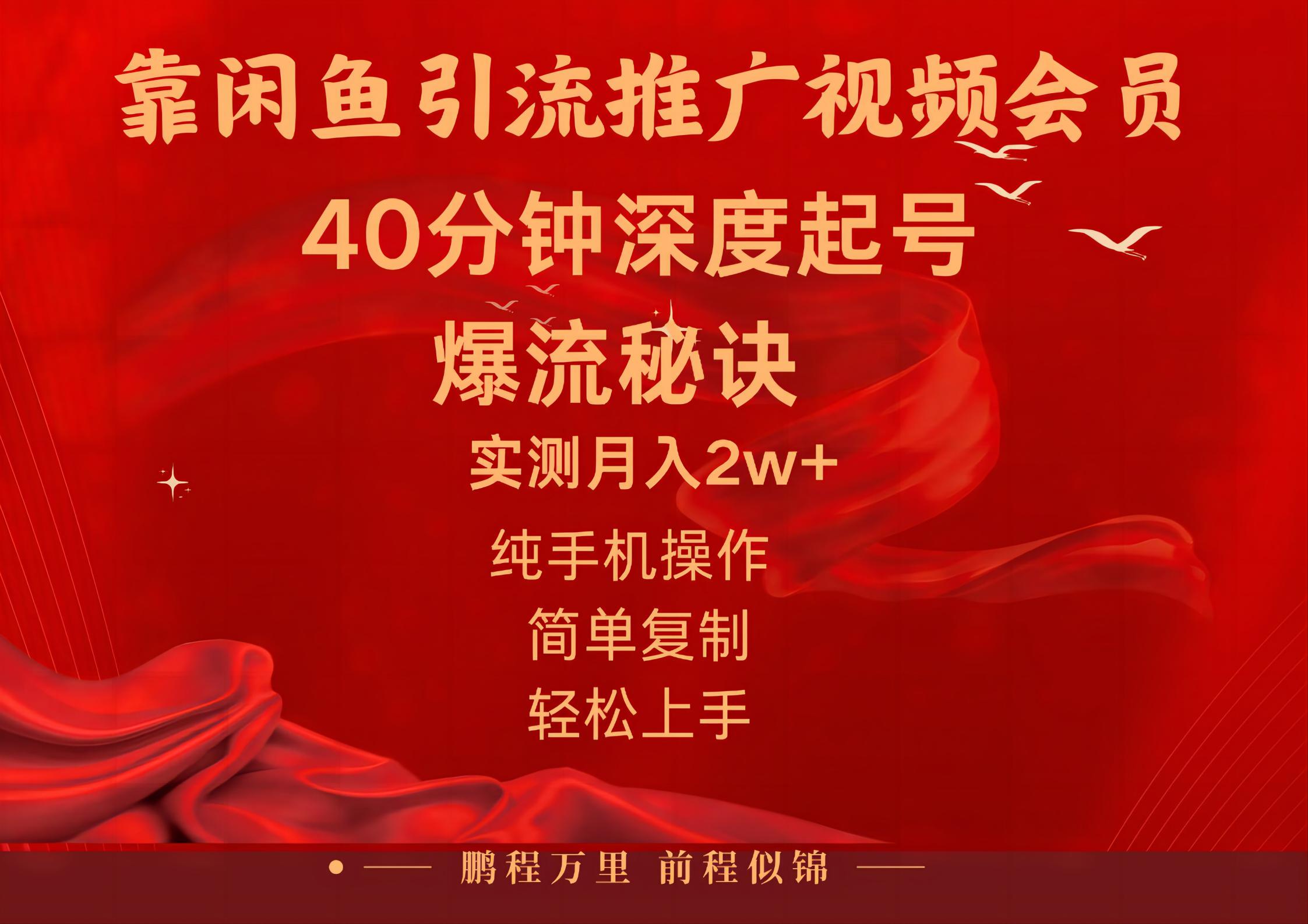 [无货源]（10896期）闲鱼暴力引流推广视频会员，能做到日入2W+，操作简单-第1张图片-智慧创业网