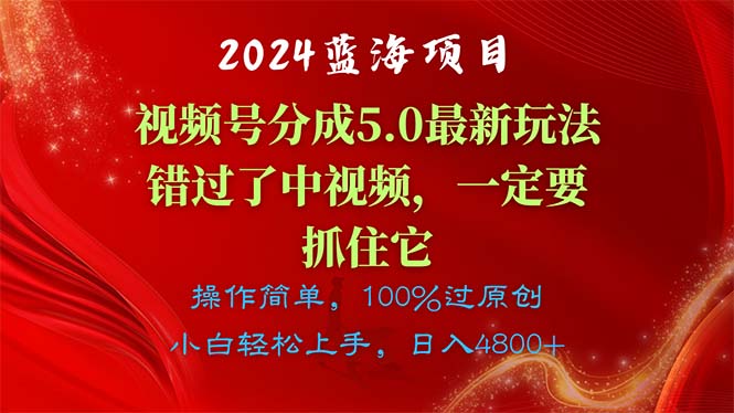 [短视频运营]（11032期）2024蓝海项目，视频号分成计划5.0最新玩法，错过了中视频，一定要抓住...-第1张图片-智慧创业网