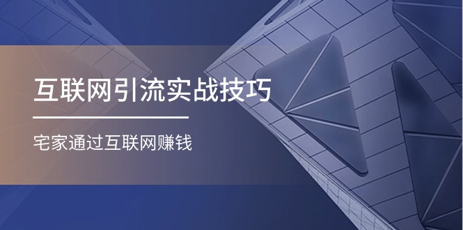 [引流-涨粉-软件]（11108期）互联网引流实操技巧(适合微商，吸引宝妈)，宅家通过互联网赚钱（17节）-第1张图片-智慧创业网