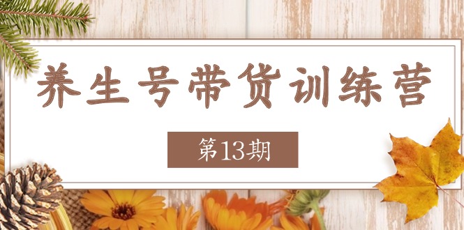 [短视频运营]（11275期）养生号-带货训练营【第13期】收益更稳定的玩法，让你带货收益爆炸-第1张图片-智慧创业网