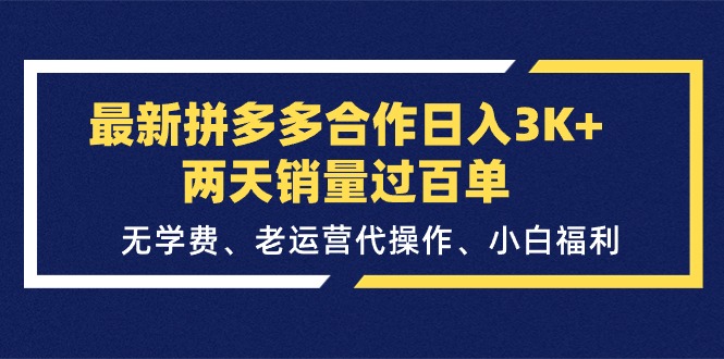 [国内电商]（11291期）最新拼多多合作日入3K+两天销量过百单，无学费、老运营代操作、小白福利-第1张图片-智慧创业网