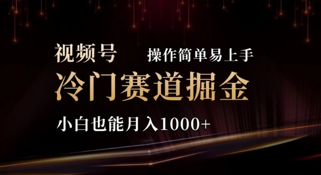 [短视频运营]（11378期）2024视频号冷门赛道掘金，操作简单轻松上手，小白也能月入1000+-第1张图片-搜爱网资源分享社区