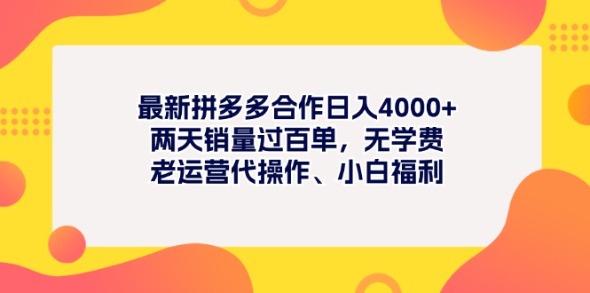 [国内电商]（11410期）最新拼多多项目日入4000+两天销量过百单，无学费、老运营代操作、小白福利-第1张图片-搜爱网资源分享社区