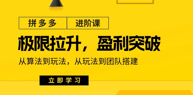 [国内电商]（11435期）拼多多·进阶课：极限拉升/盈利突破：从算法到玩法 从玩法到团队搭建-18节-第1张图片-搜爱网资源分享社区