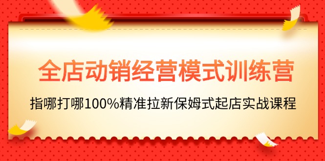 [国内电商]（11460期）全店动销-经营模式训练营，指哪打哪100%精准拉新保姆式起店实战课程-第1张图片-智慧创业网