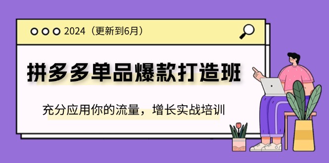 [国内电商]（11556期）2024拼多多-单品爆款打造班(更新6月)，充分应用你的流量，增长实战培训-第1张图片-智慧创业网