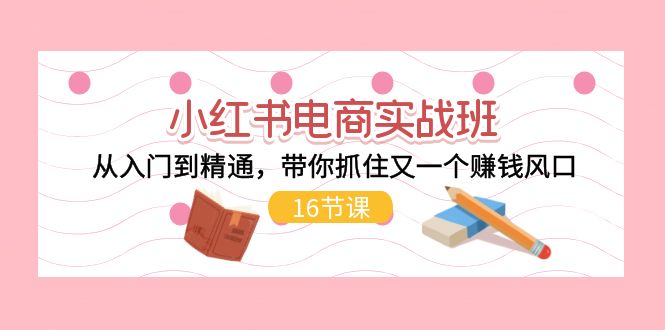 [小红书]（11533期）小红书电商实战班，从入门到精通，带你抓住又一个赚钱风口（16节）-第1张图片-智慧创业网