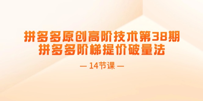 [国内电商]（11704期）拼多多原创高阶技术第38期，拼多多阶梯提价破量法（14节课）-第1张图片-智慧创业网