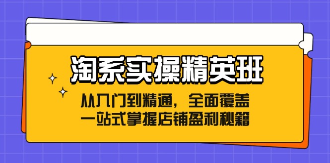 [国内电商]（12276期）淘系实操精英班：从入门到精通，全面覆盖，一站式掌握店铺盈利秘籍-第1张图片-智慧创业网