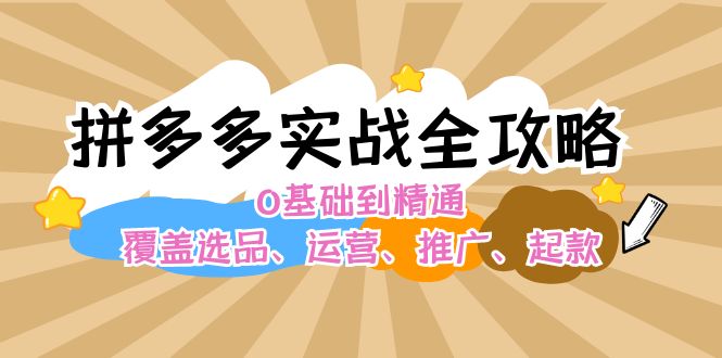 [国内电商]（12292期）拼多多实战全攻略：0基础到精通，覆盖选品、运营、推广、起款-第1张图片-智慧创业网