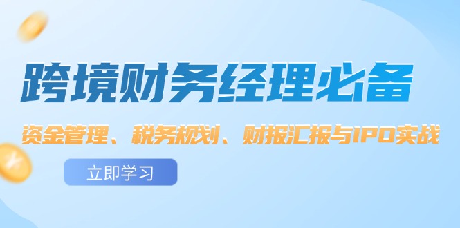 [跨境电商]（12323期）跨境 财务经理必备：资金管理、税务规划、财报汇报与IPO实战-第1张图片-智慧创业网