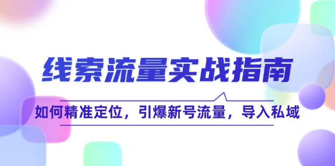 [引流-涨粉-软件]（12382期）线 索 流 量-实战指南：如何精准定位，引爆新号流量，导入私域-第1张图片-智慧创业网