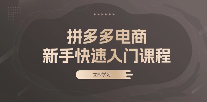 [国内电商]（13289期）拼多多电商新手快速入门课程：涵盖基础、实战与选款，助力小白轻松上手-第1张图片-智慧创业网