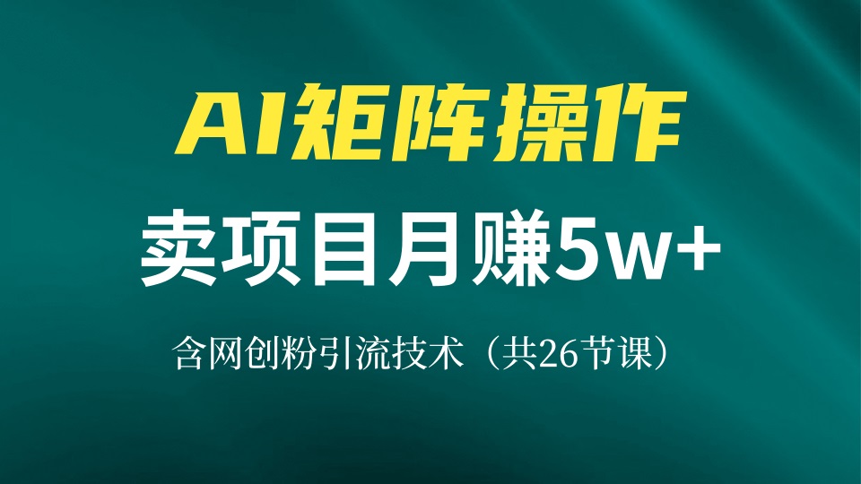 [创业项目]（13335期）网创IP打造课，借助AI卖项目月赚5万+，含引流技术（共26节课）-第1张图片-智慧创业网