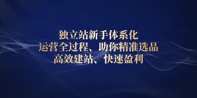 [跨境电商]（13914期）独立站新手体系化 运营全过程，助你精准选品、高效建站、快速盈利-第1张图片-智慧创业网