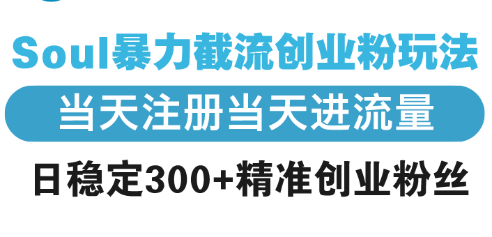 [虚拟项目]（13935期）Soul暴力截流创业粉玩法，当天注册当天进流量，日稳定300+精准创业粉丝