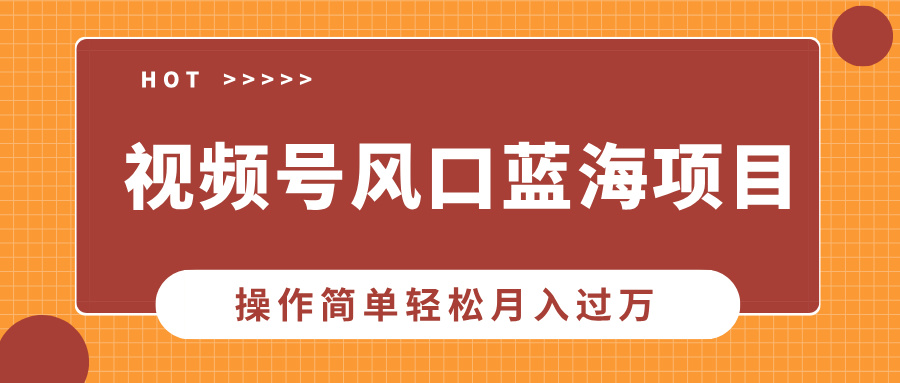 [短视频运营]（13945期）视频号风口蓝海项目，中老年人的流量密码，操作简单轻松月入过万-第1张图片-智慧创业网