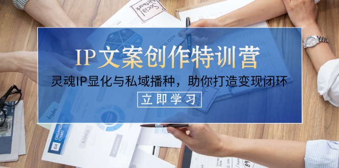 [文案写作]（14330期）IP文案创作特训营，灵魂IP显化与私域播种，助你打造变现闭环（14节课）-第1张图片-智慧创业网