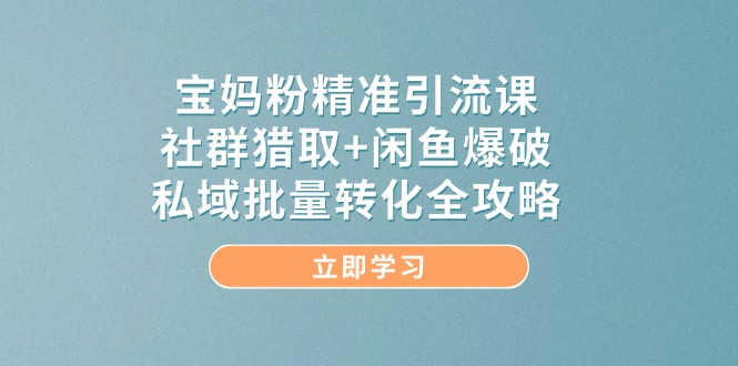 [引流-涨粉-软件]（14820期）宝妈粉精准引流课，社群猎取+闲鱼爆破，私域批量转化全攻略-第1张图片-智慧创业网