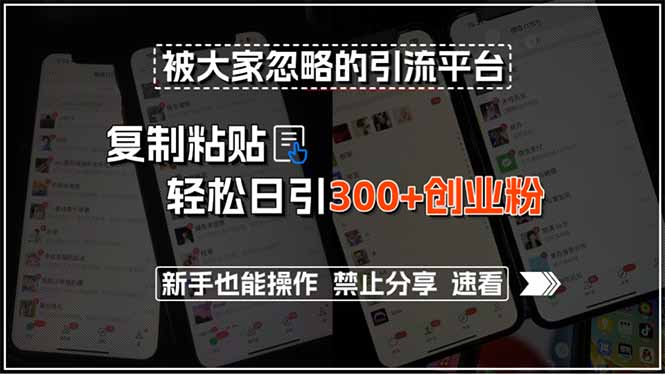 [虚拟项目]（15428期）被大家忽略的引流平台，复制粘贴轻松日引300+创业粉，新手也能操作，禁...-第1张图片-智慧创业网
