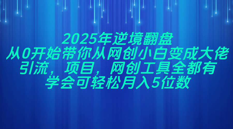 [虚拟项目]（14473期）2025年逆境翻盘，从0开始带你从网创小白变成大佬，引流，项目，网创工...-第1张图片-智慧创业网