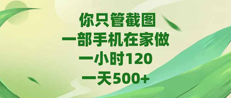 [虚拟项目]（15039期）你只管截图，一部手机在家做，一小时120，-天500+-第1张图片-智慧创业网