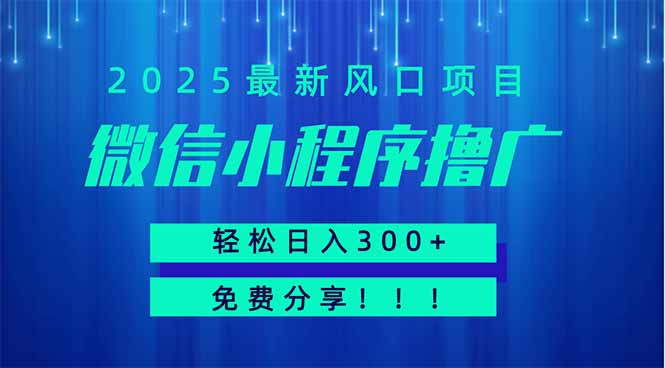 [虚拟项目]（14375期）微信小程序撸广，最新风口项目，日入300+ 免费分享 可批量操作 小白可...