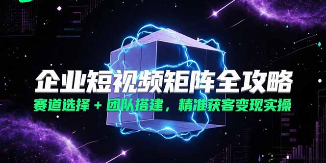 [短视频运营]（15242期）企业短视频矩阵全攻略，赛道选择+团队搭建，精准获客变现实操-第1张图片-智慧创业网
