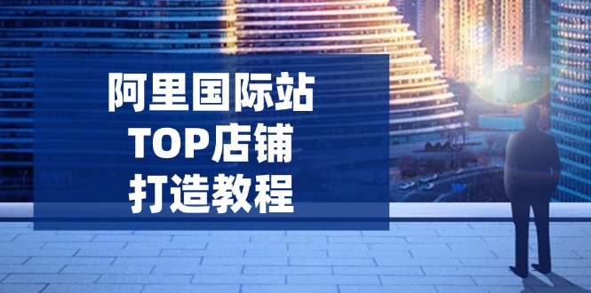 [跨境电商]（14269期）阿里国际站TOP店铺打造教程：涵盖平台到高阶，解决运营难题，提升询盘